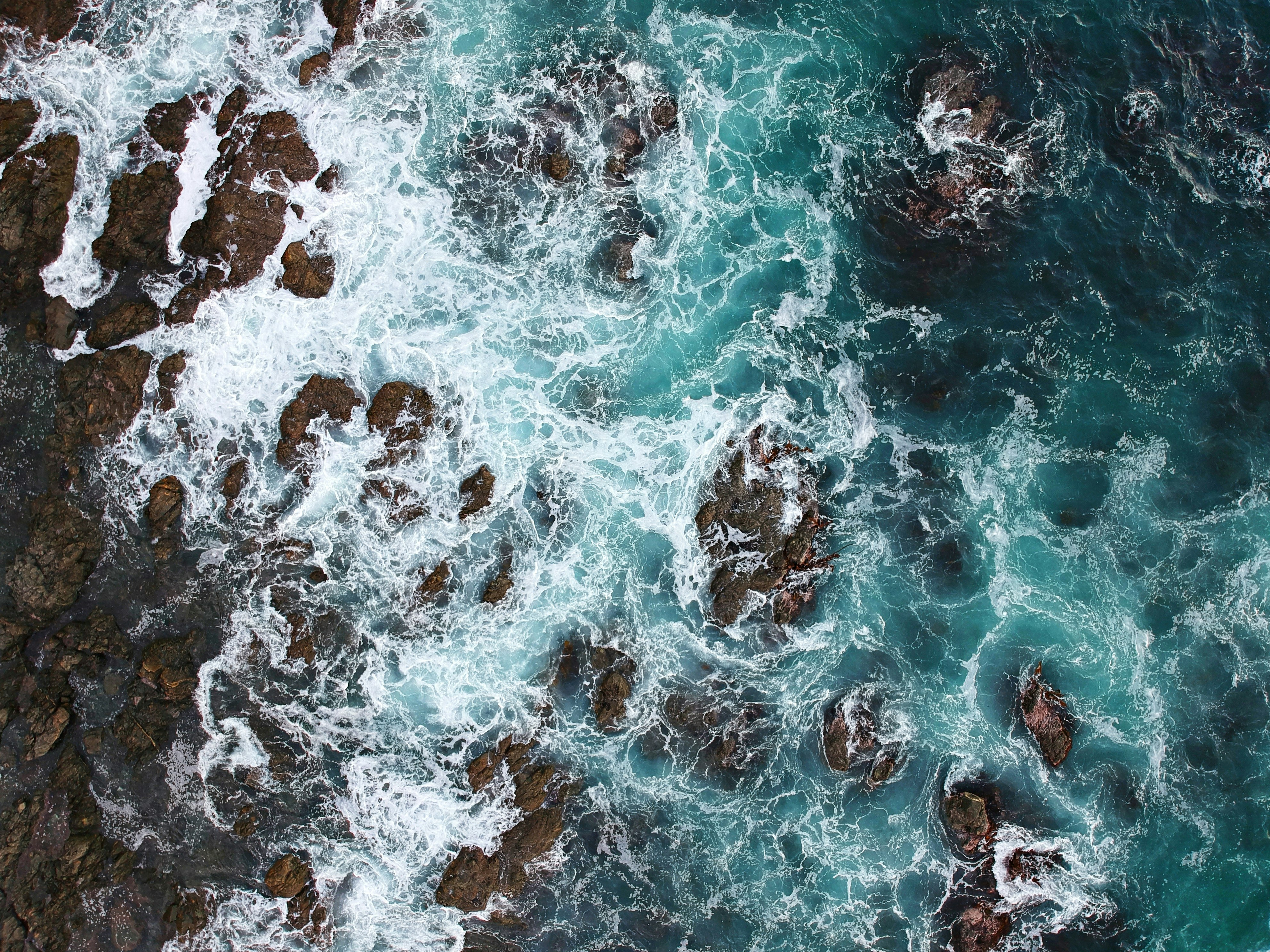 body of water with brown rocks